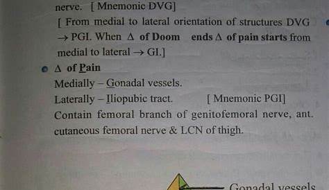 Triangle Of Doom And Pain Mnemonic 43 Best s In Anatomy Images On Pinterest