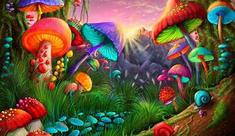 Free download Related Pictures trippy mushroom wallpaper [612x612] for