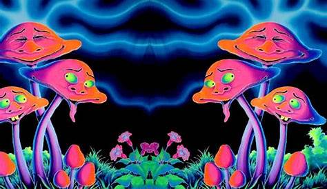 🔥 [45+] Trippy Mushroom Wallpaper | WallpaperSafari