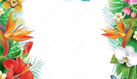 tropical border clipart simple png 10 free Cliparts | Download images
