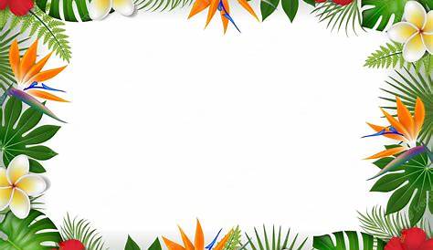 Tropical border png, Tropical border png Transparent FREE for download