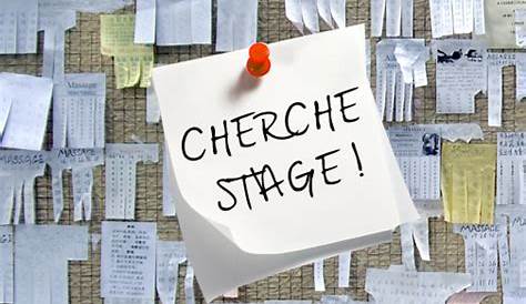 Recherche de stage : où trouver des offres de stage