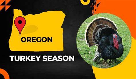 Turkey Season Oregon