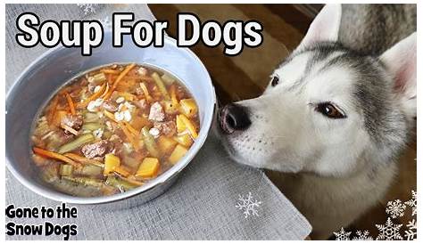 Turkey Soup For Dogs