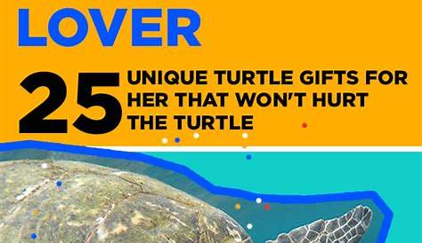 20 Unique Turtle Gifts for Turtle lovers
