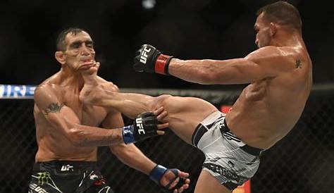 10 Best MMA Knockouts from the 1st Half of 2014 | News, Scores