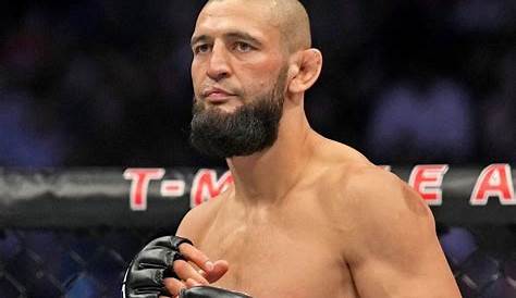 Who Are The Best UFC Fighters Ever? | Pledge SportsPledge Sports