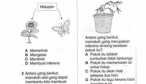 Latihan Haiwan Karnivor Sains Tahun 3 Live Worksheet Imagesee - Riset