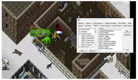 How to adjust your resolution in Razor. | Ultima Online Forever