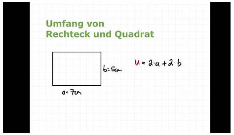 Flächeninhalt und Umfang berechnen - Rechteck und Quadrat