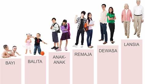 Kategori Umur Di Malaysia : Maklumat Populasi Komuniti Felda Chiku 3