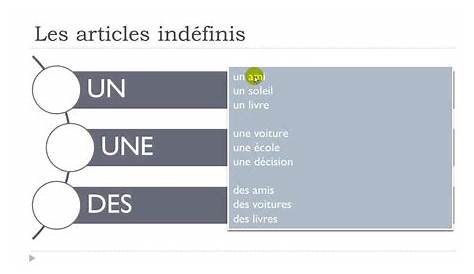 Mon cahier de français: Les articles définis et indéfinis (révision)