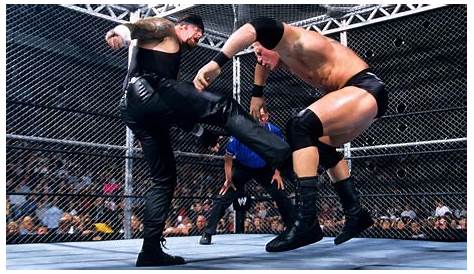 Ranking All Of The Undertaker Vs. Brock Lesnar WWE Matches From Worst
