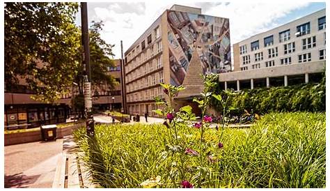 Institute of Psychology : Universität Hamburg