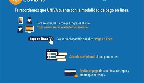 Todo lo que necesitas saber sobre pagos en línea. - YouTube
