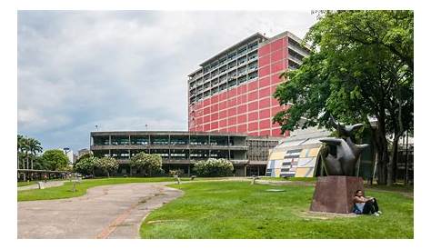 La Universidad Central de Venezuela cumple 299 años de su fundación