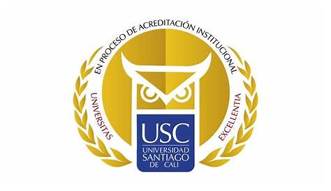 New partnership with Universidad de Santiago de Chile › Institute of