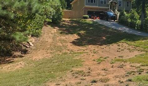 Unlimited Landscaping & Turf Management, Inc. | Buford, GA 30518