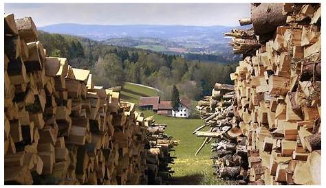Unter unserem Himmel 31: Brennholz – Ein Film aus dem Bayerischen Wald