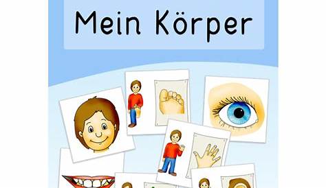 Lernwerkstatt: Mein Körper - Körpersysteme und Vorgänge (Wissenskartei