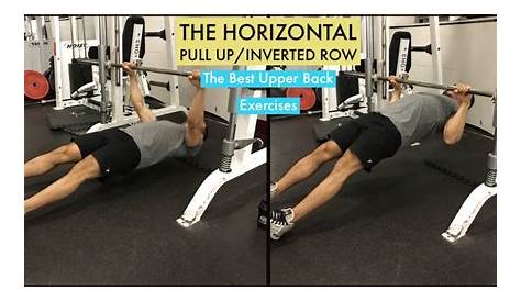 Upper Body Horizontal Pull Exercises