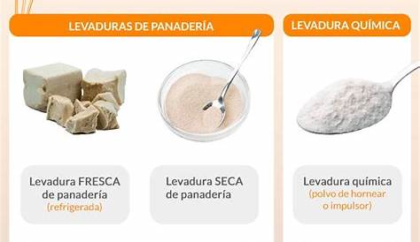 Levadura - Concepto, fermentación, usos y tipos