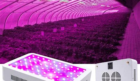 30W Grow Light, LED Plant Light, Red/Blue Full Spectrum LED UV Growing