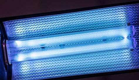Kobra UV Black Light Flashlight 100 LED #1 Best UV Light and Blacklight