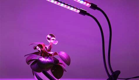 LED Grow Lights for Indoor Plants, 30W Full Spectrum Plant Lights with