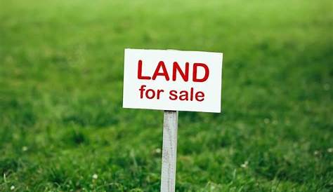 FARM: Sell your vacant land | firsttuesday Journal