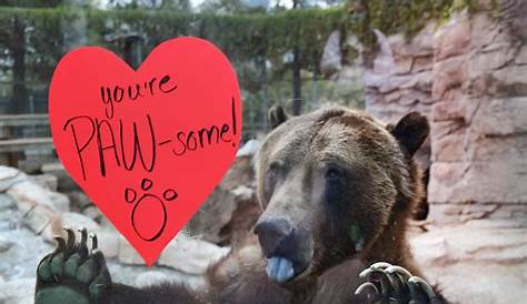Valentine's Day At The Zoo