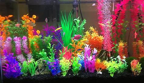 Valentine Aquarium Decorations The Absolute Best For Every Holiday Founterior