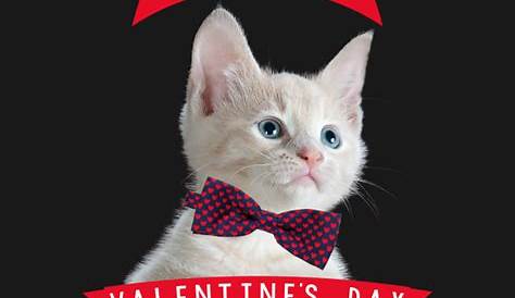 Valentines Day Cat Sweatshirt