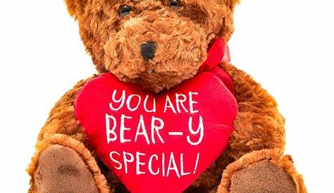 Valentines Day Teddy Bear