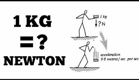 Newton naar kg omrekenen en andersom | Berekenen.nl
