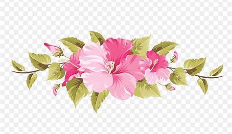 Flores Ilustraciones En Png Para Artesanía Y Diseños - Floral Decor