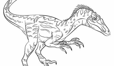 Indoraptor Coloring Page Jurassic Coloring Dinosaur Celtrislt Wallpaper