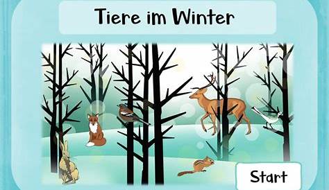 Tiere im Winter: Zuordnungsspiel – Unterrichtsmaterial im Fach