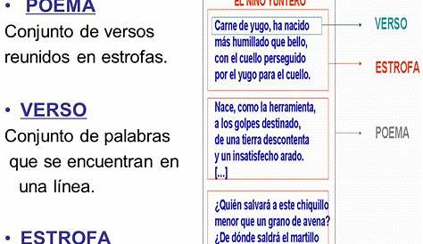 information | Clases de rima, Estrofas y versos, Clases de literatura