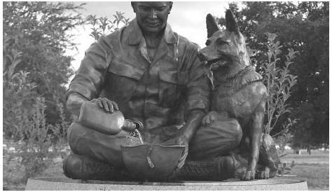 vietnam war photos #VietnamWar | War dogs, Vietnam war, Military dogs