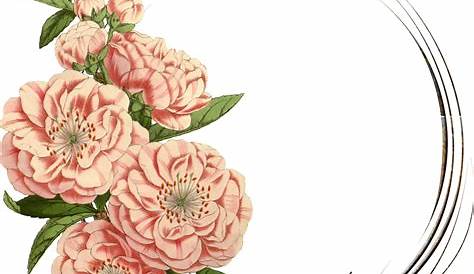vintage floral frame collection free download on Behance