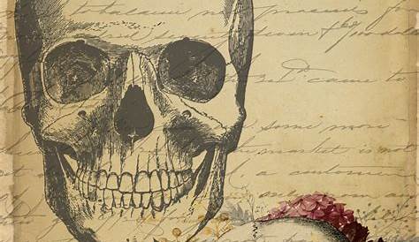 skull retro,vintage,detail hand drawing 517178 Vector Art at Vecteezy