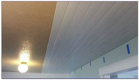 Tongue And Groove Vinyl Ceiling Planks Ceiling Home Design Ideas 