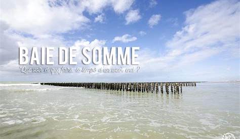 Que faire en baie de Somme : guide pratique & endroits à visiter