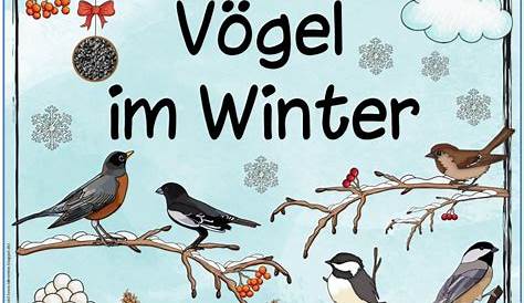 Vögel Im Winter Grundschule : Heute sind wir in das neue Thema 'Vögel