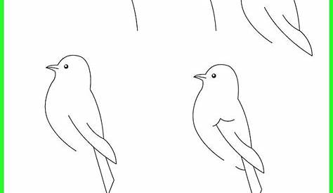 Klicke um das Bild zu sehen. Vögel zeichnen einfach - Anleitung für