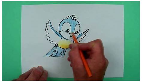 Vogel zeichnen für Anfänger - einfach | Tiere zeichnen mit Bleistift