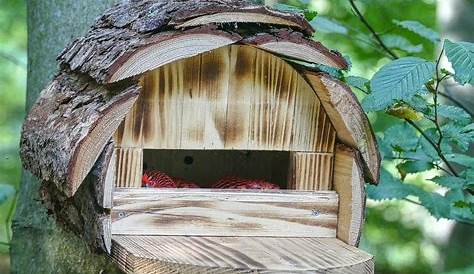 Michas Holzblog: Die Zeit vergeht, was macht das Vogelhaus?