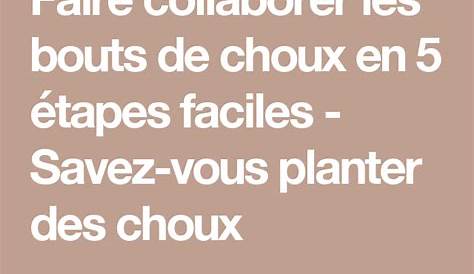 Les projets nouveau-nés de la petite enfance