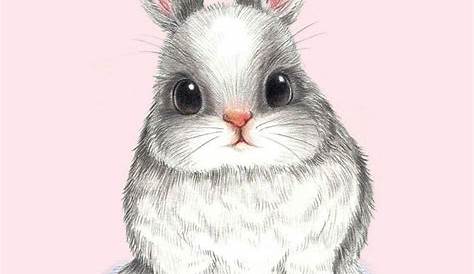 Wallpaper Iphone Cute Rabbit Kawaii Bunny Cave